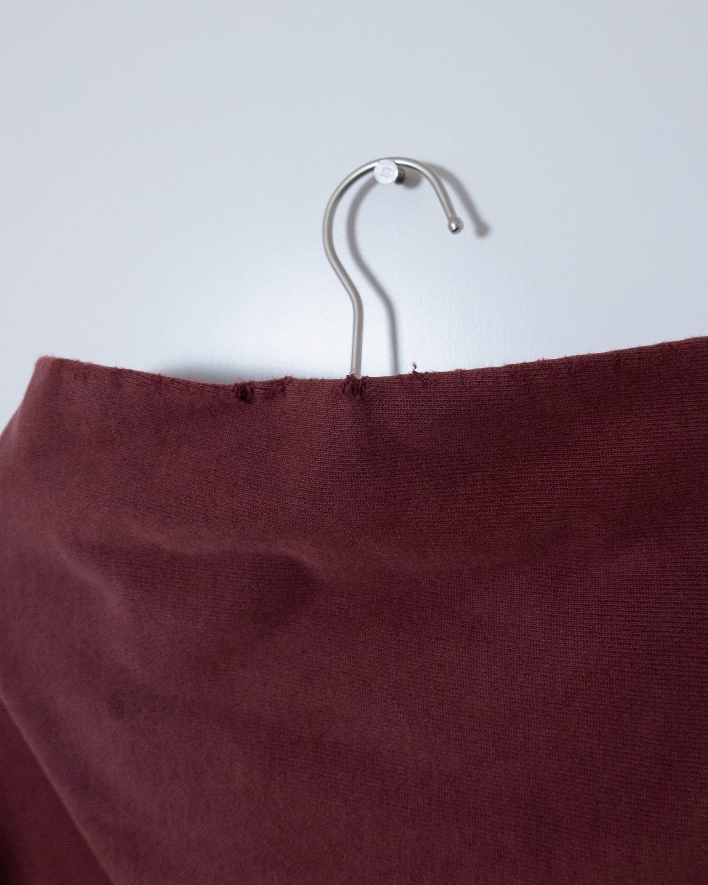 "Champion" REVERSE WEAVE college hoodie